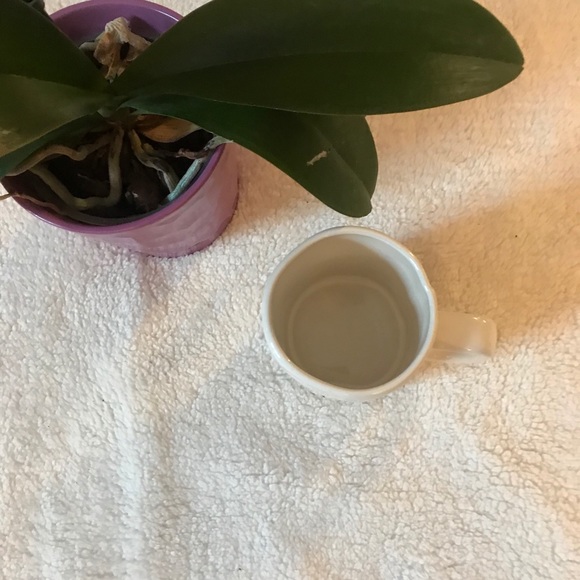 New! Rae Dunn Collectible “I Do” Coffee/Tea Mug - Picture 2 of 3